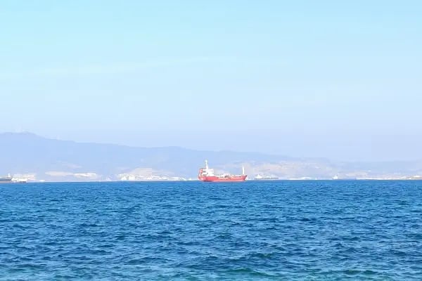 ALPAYLAR Zeytinyağı Fabrikası & SATIŞ NOKTASI - Resim 14