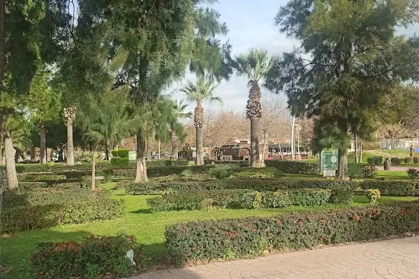 ALPAYLAR Zeytinyağı Fabrikası & SATIŞ NOKTASI - Resim 18