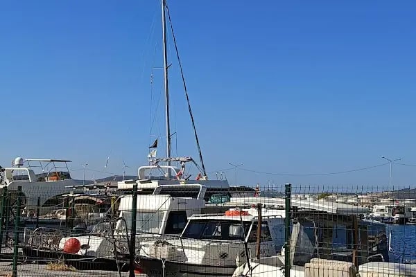 ALPAYLAR Zeytinyağı Fabrikası & SATIŞ NOKTASI - Resim 17