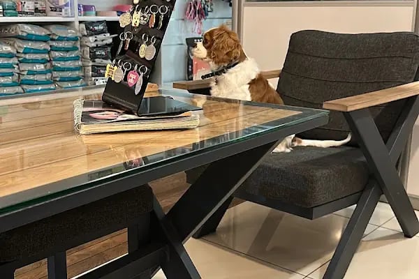 Özlüce Vet-RA Veteriner Kliniği - Resim 4