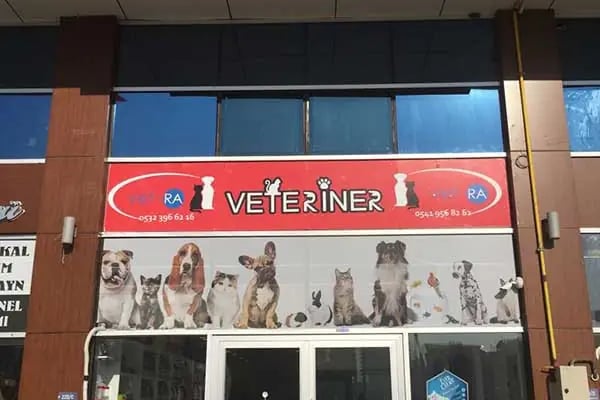 Özlüce Vet-RA Veteriner Kliniği - Resim 5