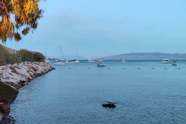 Akyarlar Cafe - Bodrum Belediye A.Ş. - Resim 7