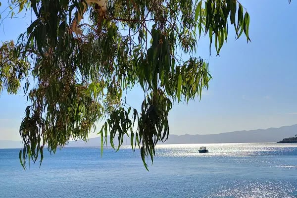 Akyarlar Cafe - Bodrum Belediye A.Ş. - Resim 18