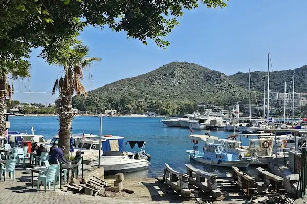 Akyarlar Cafe - Bodrum Belediye A.Ş. - Resim 9