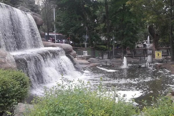 Evcil Hayvanlar Parkı - Resim 5