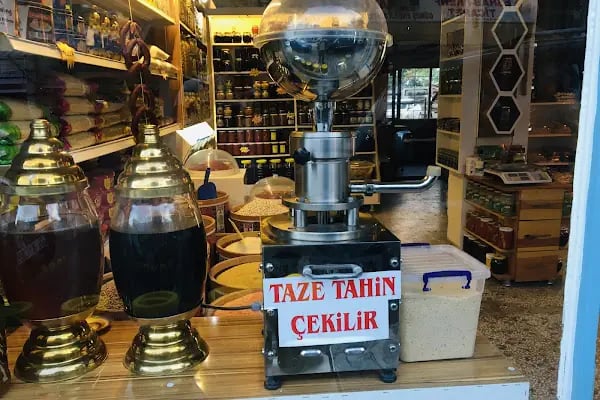 Afşin EFE YÖRESEL ŞARKÜTERİ - Resim 5