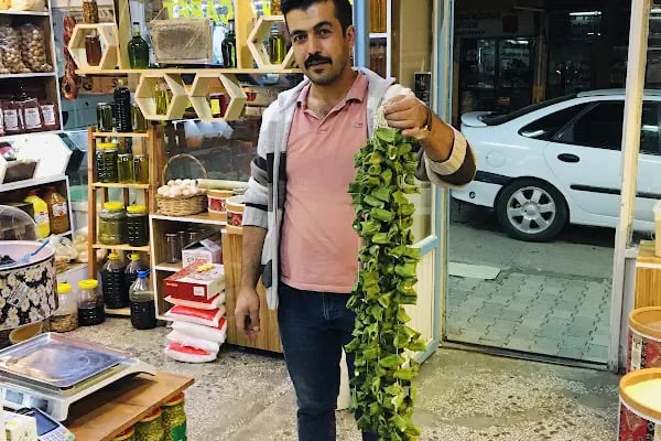 Afşin EFE YÖRESEL ŞARKÜTERİ - Resim 7