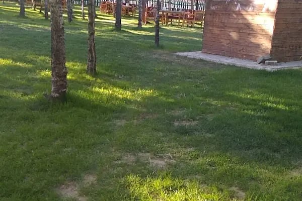 Şehri Azim Restoran Kafe Pansiyon - Resim 6