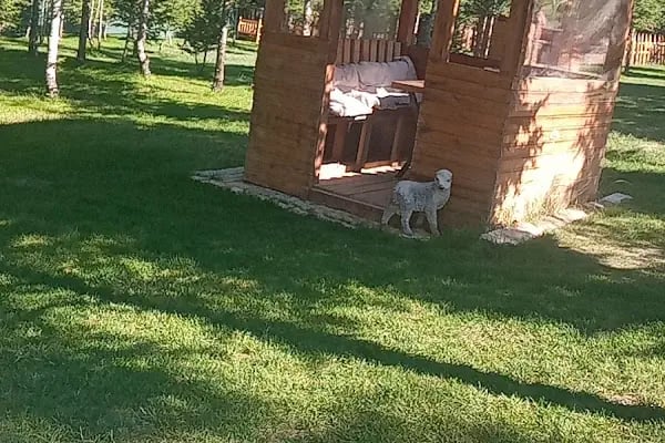 Şehri Azim Restoran Kafe Pansiyon - Resim 9