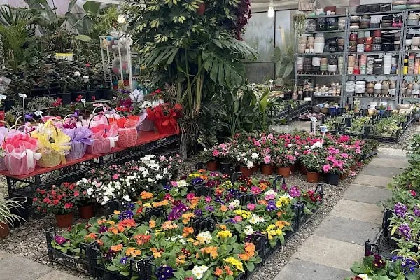 Floral Garden Çiçek &amp; Çikolata - Resim 14