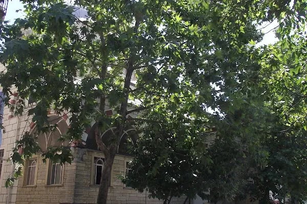 T.C. ATAŞEHİR MÜFTÜLÜĞÜ ŞEHİTLER CAMİİ - Resim 6