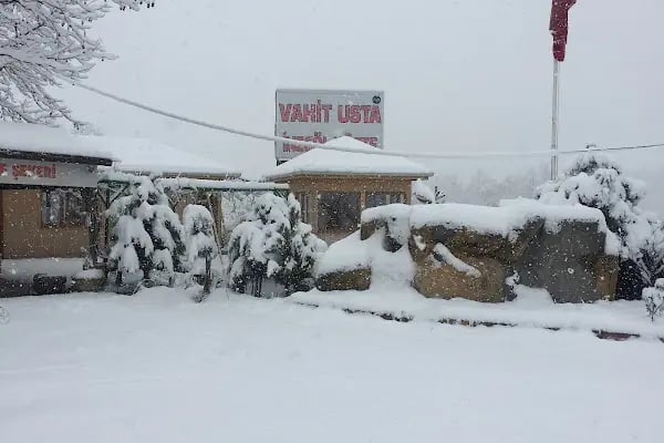 Vahit Usta İnegöl Köfte - Resim 12