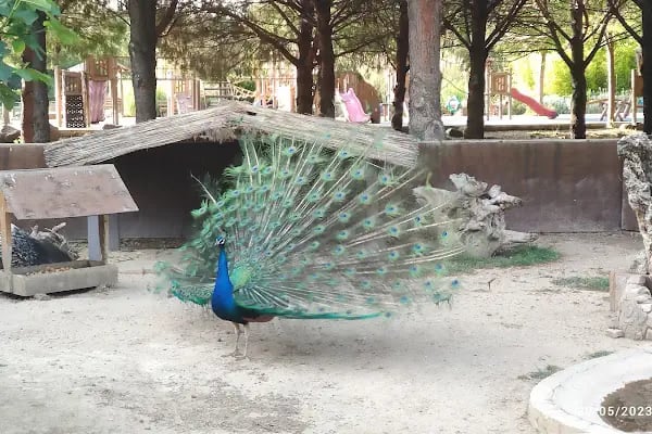 İzmir Büyükşehir Belediyesi İzmir Doğal Yaşam Parkı - Resim 8