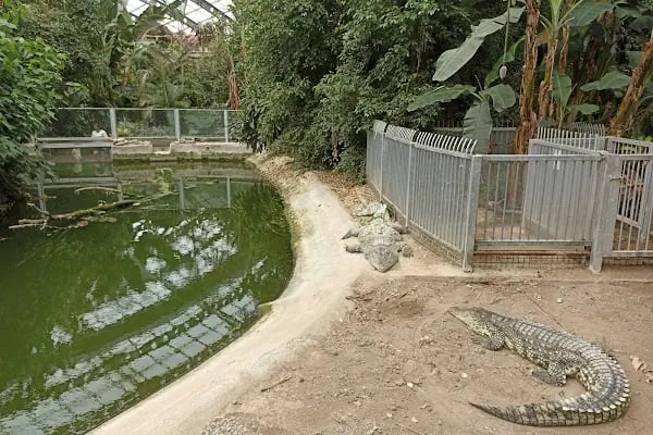 İzmir Büyükşehir Belediyesi İzmir Doğal Yaşam Parkı - Resim 3