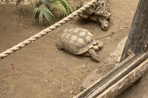 İzmir Büyükşehir Belediyesi İzmir Doğal Yaşam Parkı - Resim 11