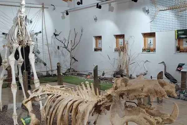 İzmir Büyükşehir Belediyesi İzmir Doğal Yaşam Parkı - Resim 13