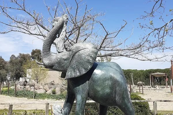 İzmir Büyükşehir Belediyesi İzmir Doğal Yaşam Parkı - Resim 18