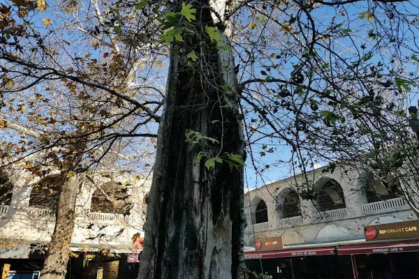 Pirinç Han - Resim 15
