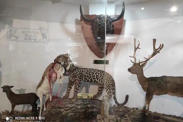 Hayvanat Bahçesi Zoo - Resim 18