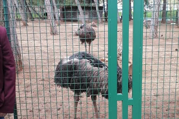 Hayvanat Bahçesi Zoo - Resim 8