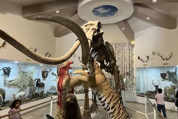 Hayvanat Bahçesi Zoo - Resim 2