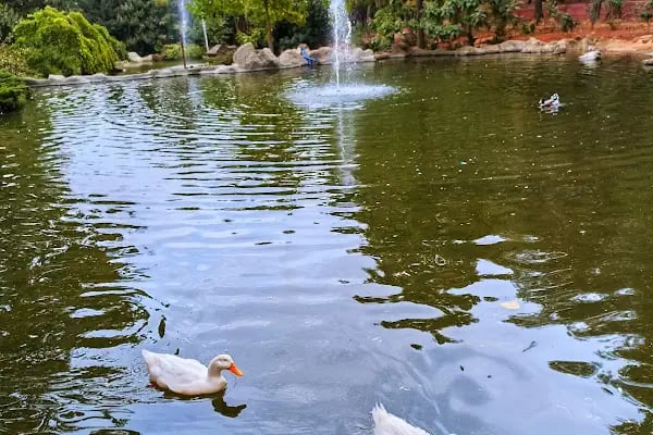 Hayvanat Bahçesi Zoo - Resim 12