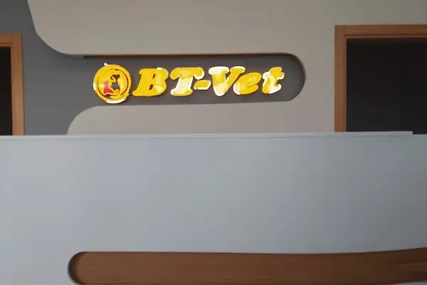 BT Veteriner Kliniği - Resim 18
