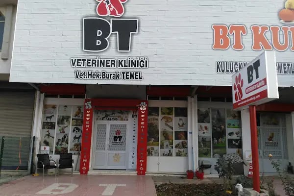 BT Veteriner Kliniği - Resim 11