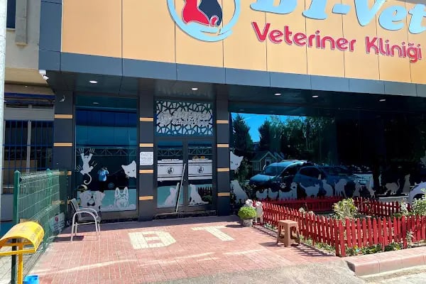 BT Veteriner Kliniği - Resim 20