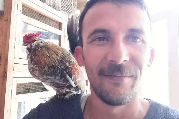 BT Veteriner Kliniği - Resim 17