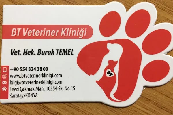 BT Veteriner Kliniği - Resim 14