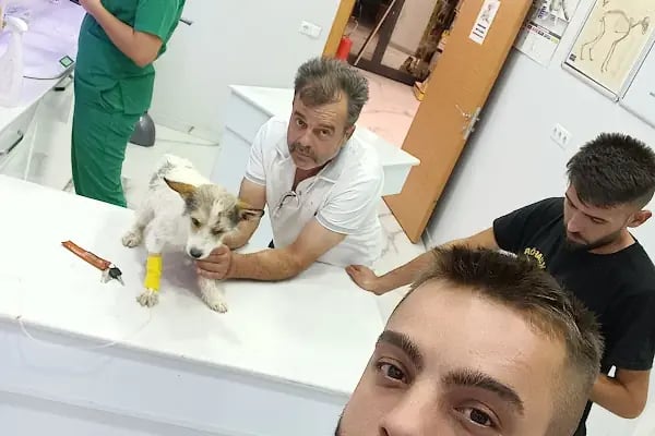 BT Veteriner Kliniği - Resim 19