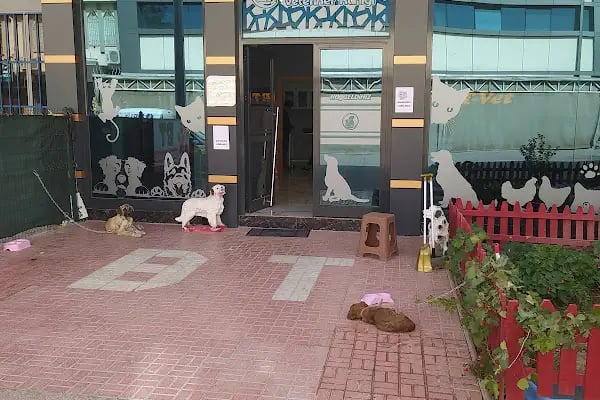 BT Veteriner Kliniği - Resim 12