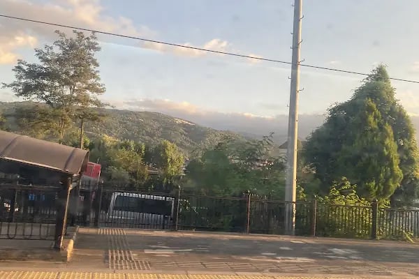 Sapanca Evleri - Resim 5