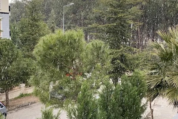 Mimosa Psikolojik Danışmanlık Merkezi - Resim 2