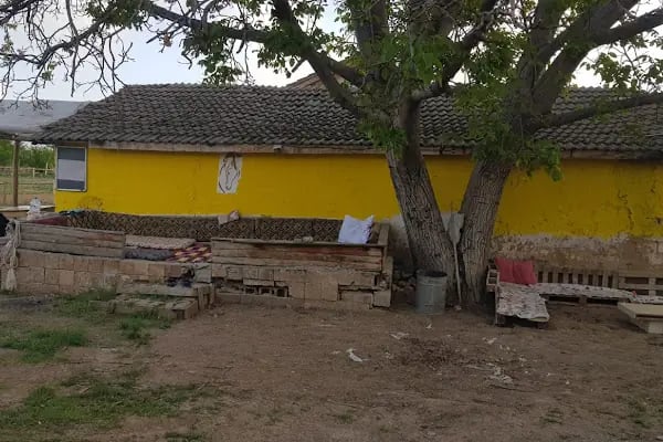 Cihangir binicilik aile tesisi - Resim 5