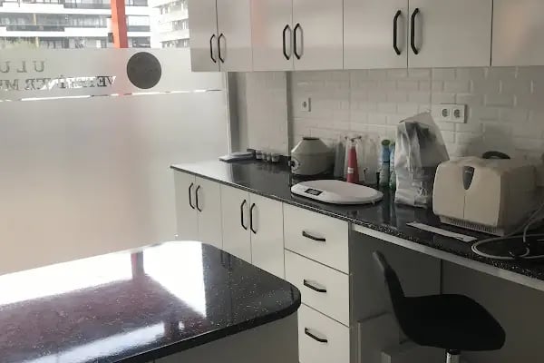 Uludağ Veteriner Kliniği | 7/24 Acil Veteriner | Bursa Veteriner | Nöbetçi Veteriner | Osmangazi Veteriner - Resim 8