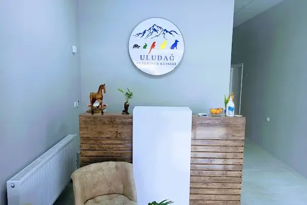 Uludağ Veteriner Kliniği | 7/24 Acil Veteriner | Bursa Veteriner | Nöbetçi Veteriner | Osmangazi Veteriner - Resim 2