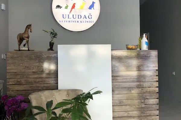 Uludağ Veteriner Kliniği | 7/24 Acil Veteriner | Bursa Veteriner | Nöbetçi Veteriner | Osmangazi Veteriner - Resim 15