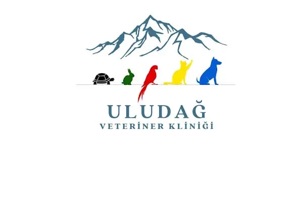 Uludağ Veteriner Kliniği | 7/24 Acil Veteriner | Bursa Veteriner | Nöbetçi Veteriner | Osmangazi Veteriner - Resim 14