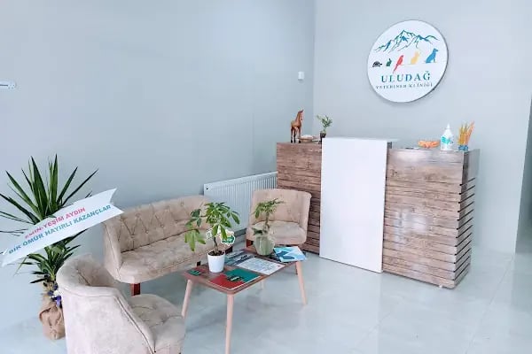 Uludağ Veteriner Kliniği | 7/24 Acil Veteriner | Bursa Veteriner | Nöbetçi Veteriner | Osmangazi Veteriner - Resim 12