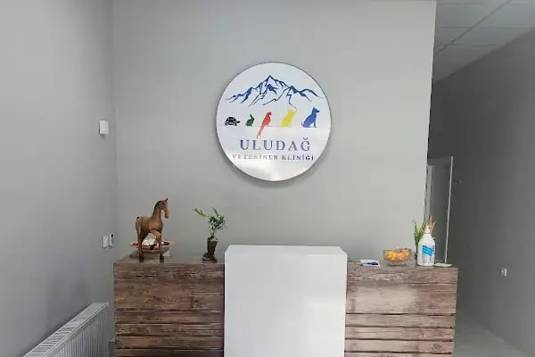 Uludağ Veteriner Kliniği | 7/24 Acil Veteriner | Bursa Veteriner | Nöbetçi Veteriner | Osmangazi Veteriner - Resim 1