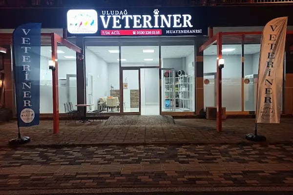 Uludağ Veteriner Kliniği | 7/24 Acil Veteriner | Bursa Veteriner | Nöbetçi Veteriner | Osmangazi Veteriner - Resim 4