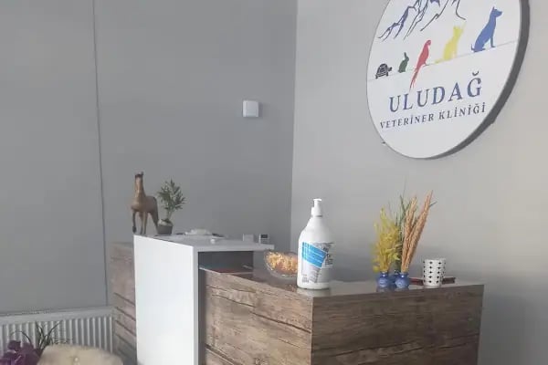 Uludağ Veteriner Kliniği | 7/24 Acil Veteriner | Bursa Veteriner | Nöbetçi Veteriner | Osmangazi Veteriner - Resim 16