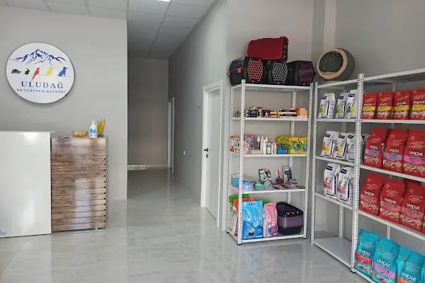 Uludağ Veteriner Kliniği | 7/24 Acil Veteriner | Bursa Veteriner | Nöbetçi Veteriner | Osmangazi Veteriner - Resim 3