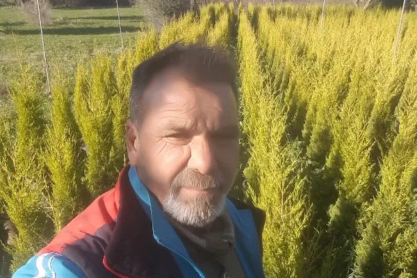 Kubilay Çiçekçilik - Resim 7