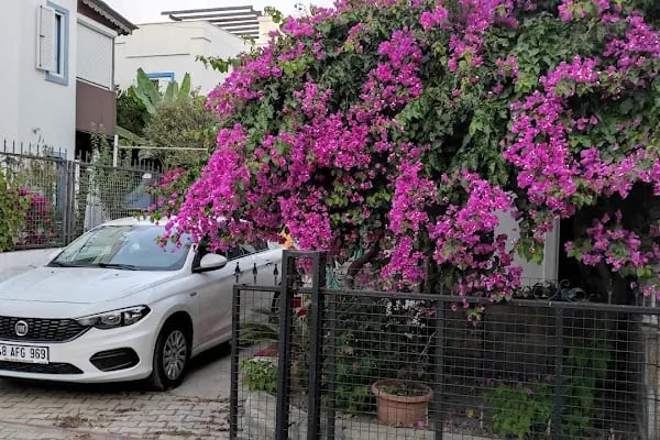 Türkmenoğlu Sitesi no:40 - Resim 10