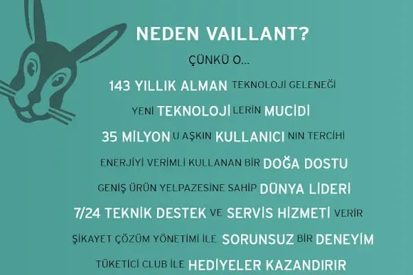 Vaillant Adana Doğalgaz - Resim 7