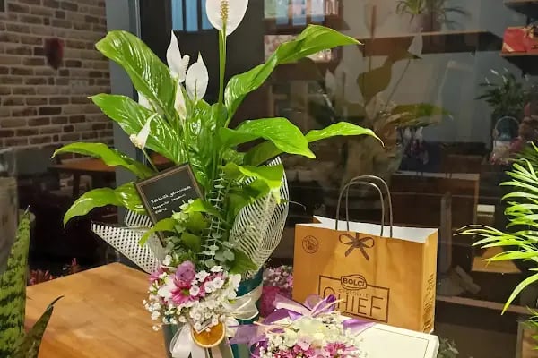Kalptüs Butik Çiçek Atölyesi - Resim 2