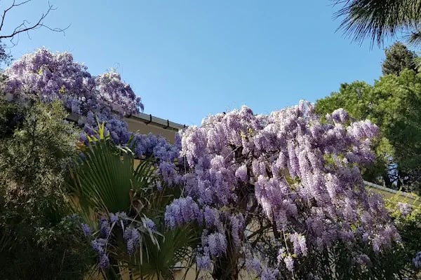 Tuzla Kaplıcaları - Resim 15